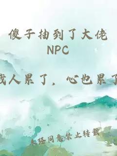 傻子抽到了大佬NPC