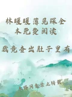 林暖暖薄见琛全本免费阅读