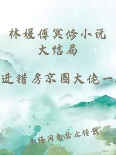 林媛傅冥修小说大结局