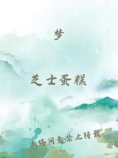 梦