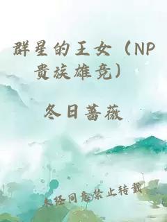 群星的王女（NP贵族雄竞）
