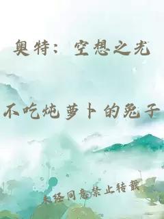 奥特：空想之光