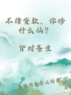 不撸贷款，你修什么仙？