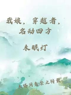 我娘，穿越者，名动四方