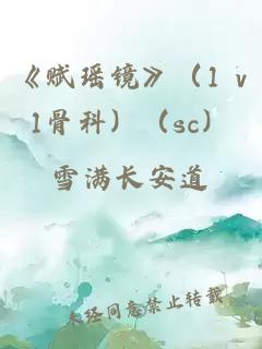 《赋瑶镜》（1 v1骨科）（sc）