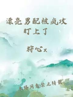 漂亮男配被疯攻盯上了