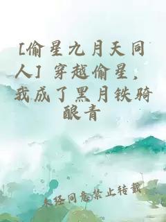 [偷星九月天同人] 穿越偷星，我成了黑月铁骑