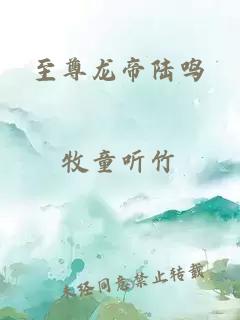 至尊龙帝陆鸣