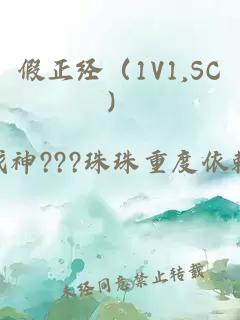 假正经（1V1,SC）