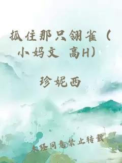 抓住那只翎雀（小妈文 高H）