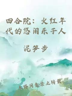 四合院：火红年代的悠闲乐子人