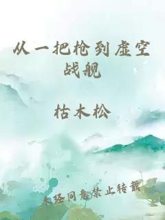 从一把枪到虚空战舰