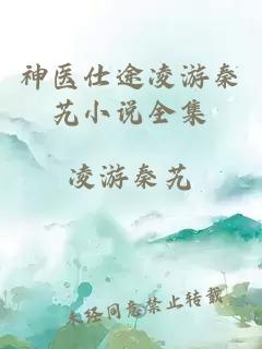 神医仕途凌游秦艽小说全集