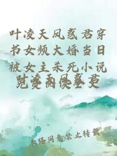 叶凌天凤惑君穿书女频大婚当日被女主杀死小说免费阅读全文