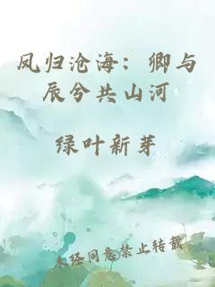 凤归沧海：卿与辰兮共山河