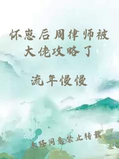 怀崽后周律师被大佬攻略了
